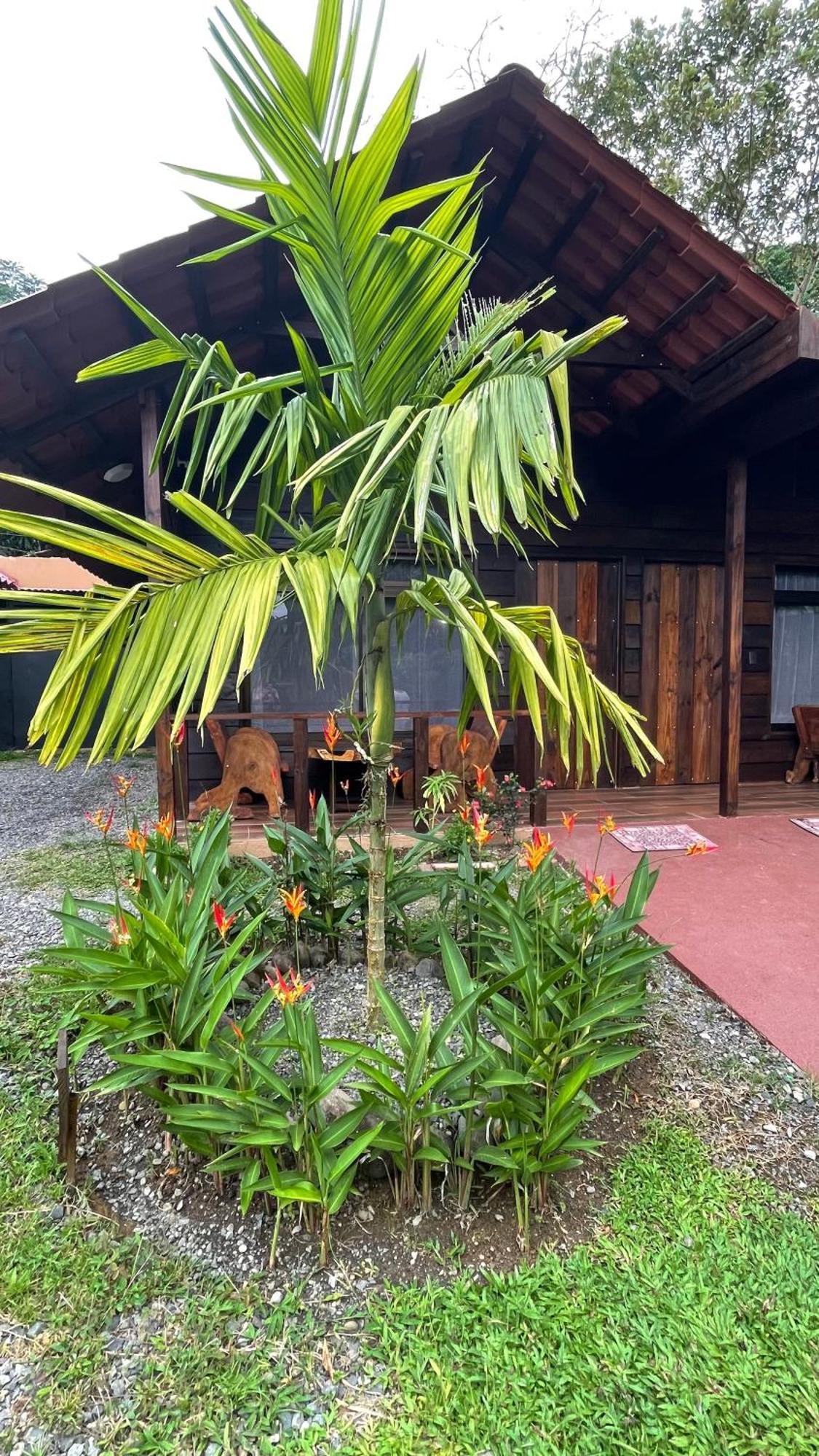 La Fortuna Waterfall Bungalows Bagian luar foto